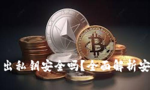 TPWallet导出私钥安全吗？全面解析安全性与风险